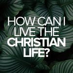 How can I live the Christian life?